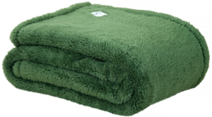 Teddy Fleece Deken - Ultrazacht - 130x170 cm - groen
